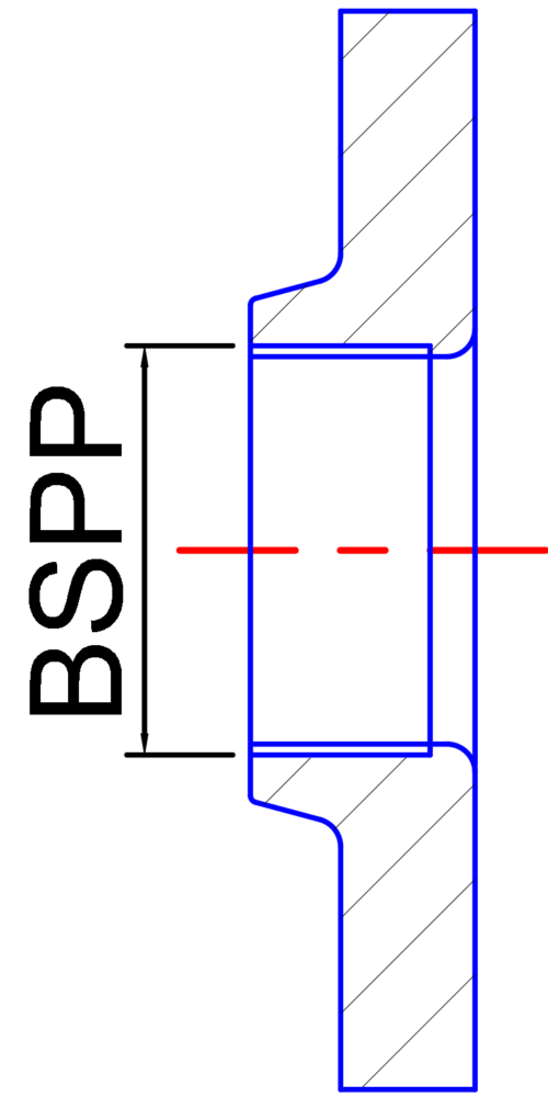 Companion flange cs