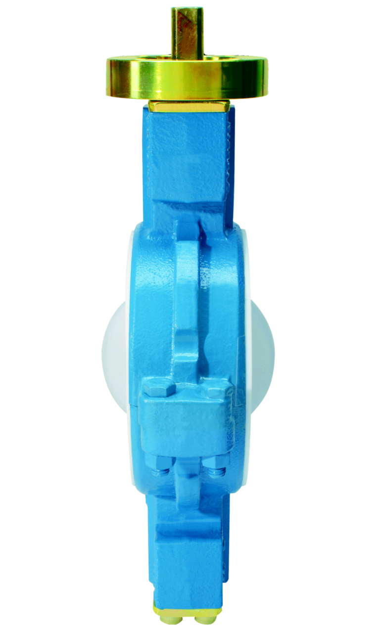 Long pattern butterfly valves1